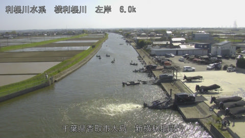 yoko2026041215_image