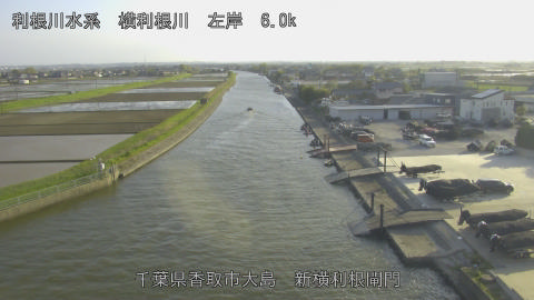 yoko2026041217_image