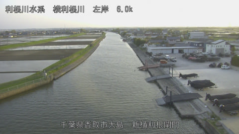 yoko2026041218_image