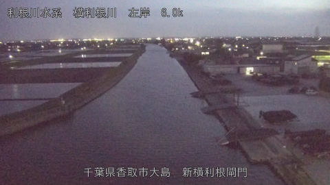 yoko2026041219_image