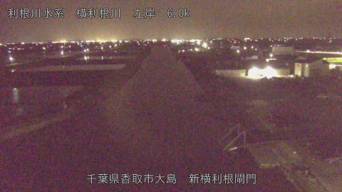 yoko2026041220_image