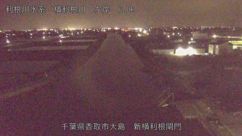 yoko2026041221_image