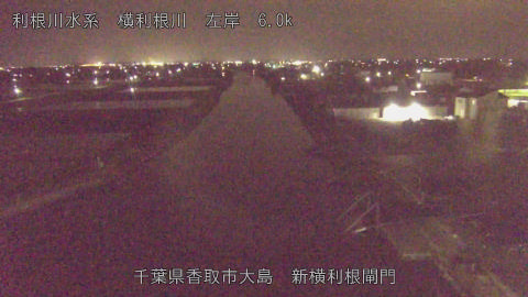 yoko2026041222_image