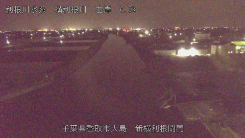 yoko2026041223_image