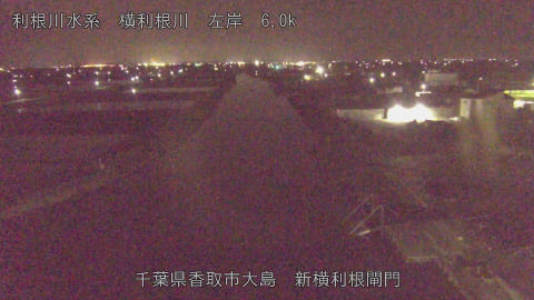 yoko2026041300_image