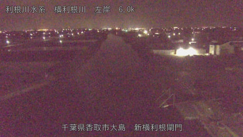 yoko2026041302_image