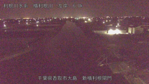 yoko2026041303_image