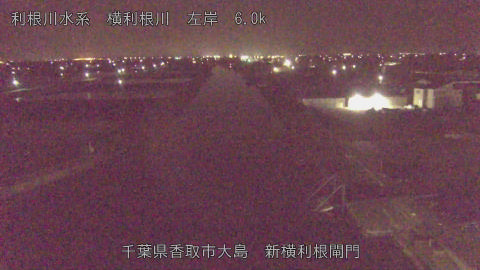 yoko2026041304_image