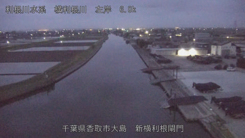 yoko2026041305_image