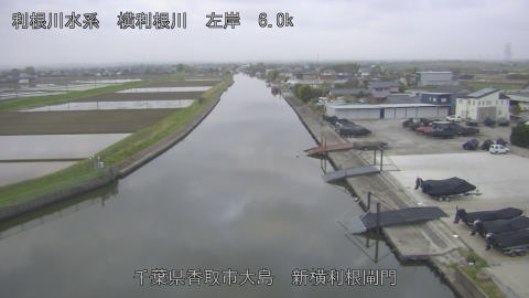 yoko2026041306_image