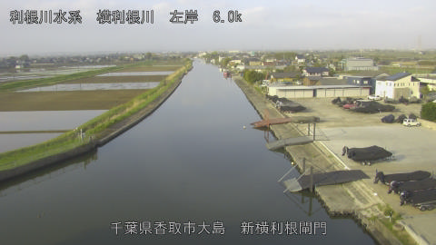 yoko2026041307_image