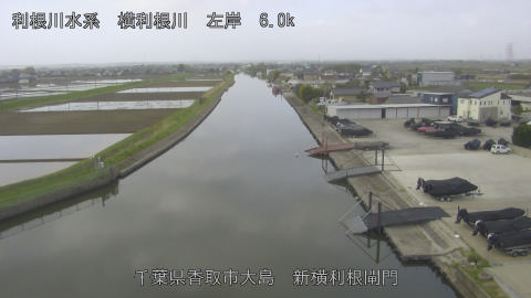 yoko2026041308_image