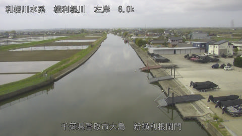 yoko2026041309_image