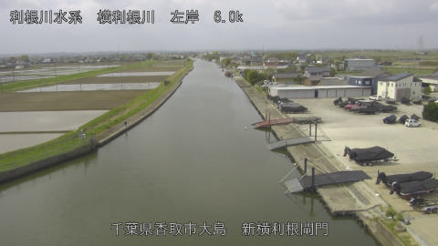 yoko2026041310_image