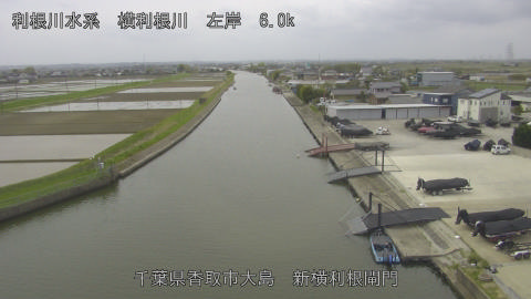 yoko2026041311_image