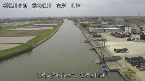 yoko2026041312_image