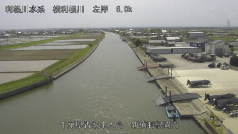 yoko2026041313_image