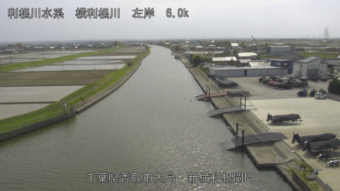 yoko2026041314_image