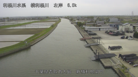 yoko2026041315_image