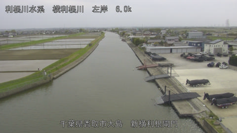 yoko2026041316_image