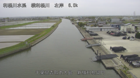 yoko2026041317_image