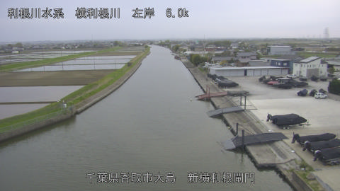 yoko2026041318_image