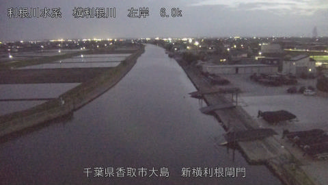 yoko2026041319_image