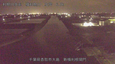 yoko2026041320_image