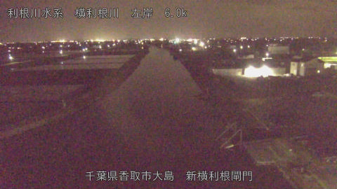 yoko2026041321_image