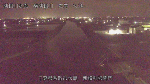 yoko2026041322_image