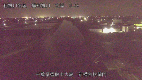 yoko2026041323_image