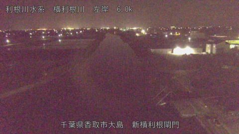 yoko2026041400_image