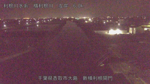 yoko2026041401_image