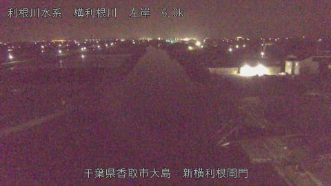 yoko2026041402_image