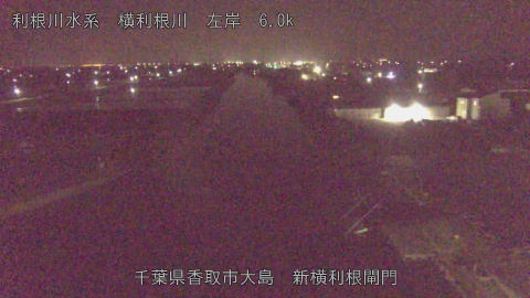 yoko2026041403_image