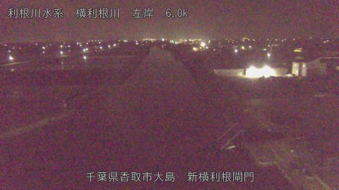 yoko2026041404_image