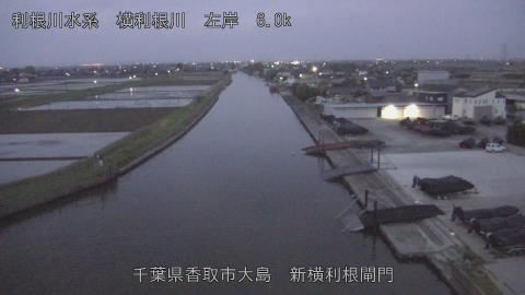 yoko2026041405_image