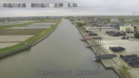 yoko2026041406_image