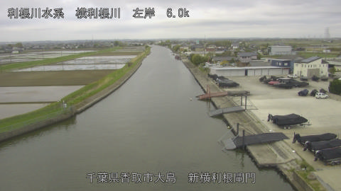 yoko2026041407_image