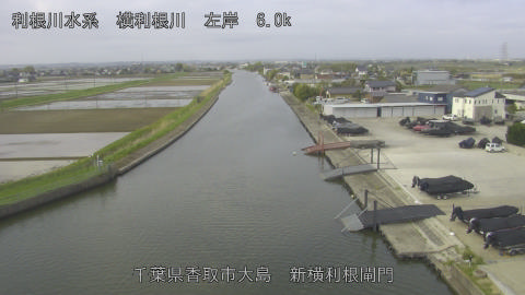 yoko2026041408_image