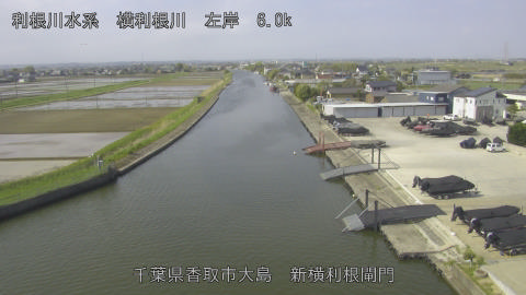 yoko2026041409_image