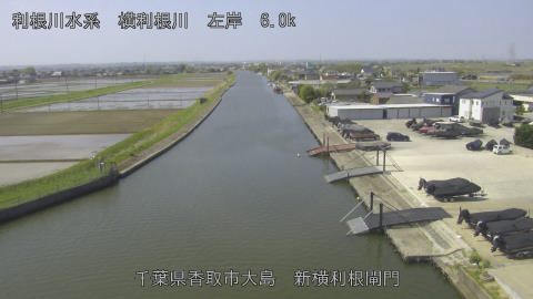 yoko2026041410_image