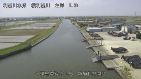 yoko2026041411_image