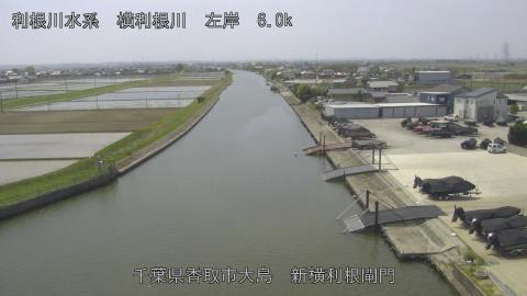 yoko2026041412_image