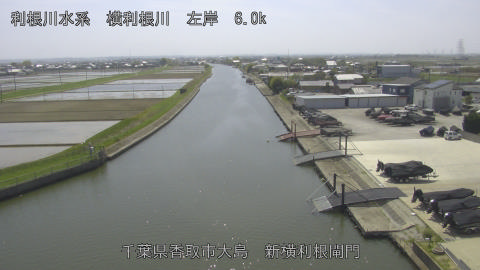 yoko2026041413_image