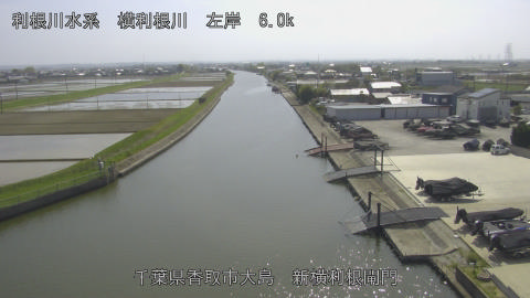 yoko2026041414_image