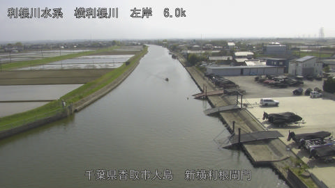 yoko2026041415_image