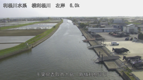 yoko2026041416_image