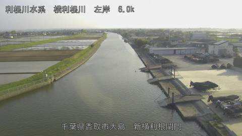 yoko2026041417_image