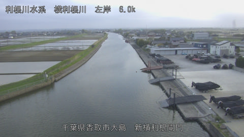 yoko2026041418_image